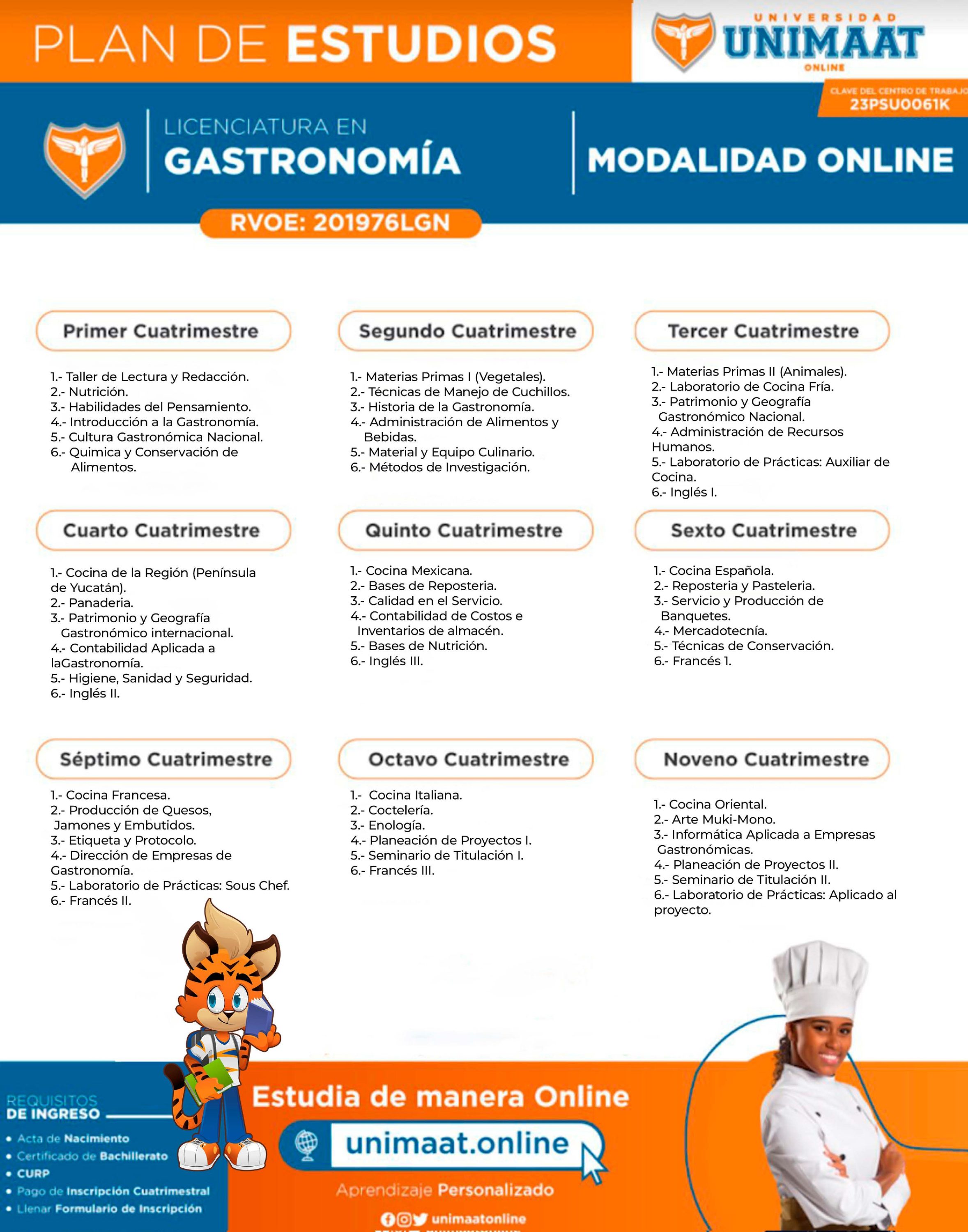 GASTRONOMÍA ONLINE