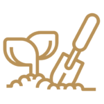 Valuación agropecuaria